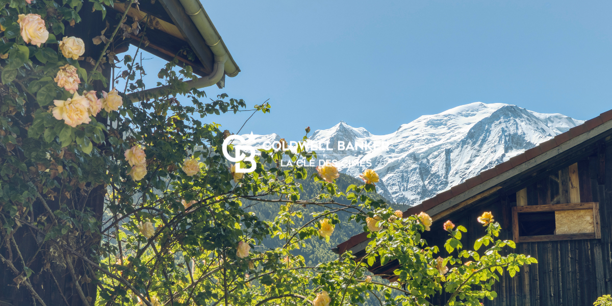 Maison avec vue sur le massif du Mont Blanc à Servoz