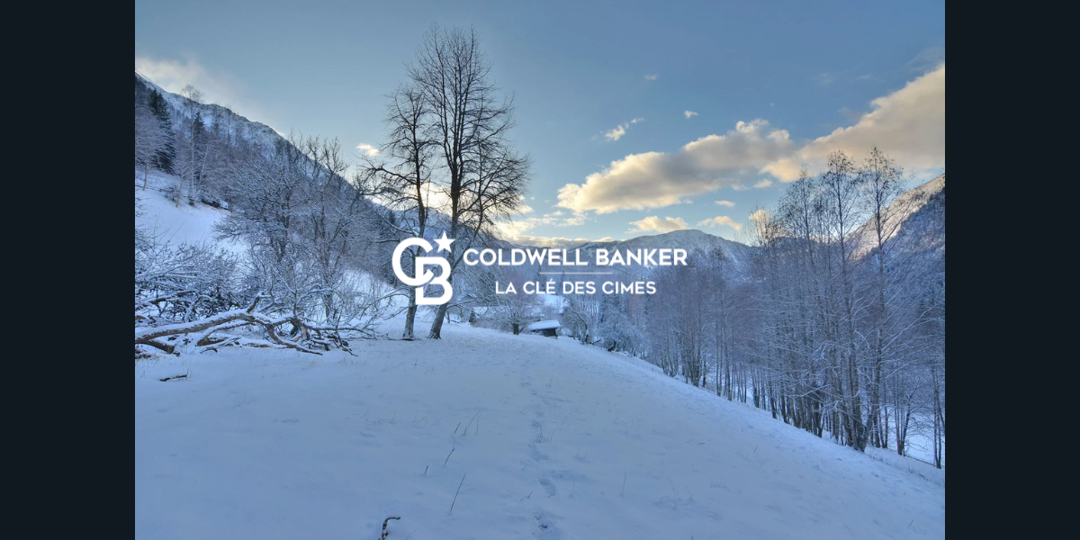 ferme avec vue à rénover à chamonix