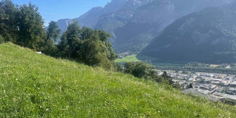 Terrain constructible avec vue Mont Blanc