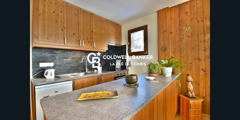appartement avec vue à acheter à chamonix